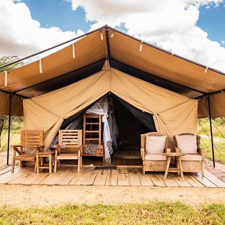 Africa Safari Serengeti Ikoma Ngoại thất bức ảnh