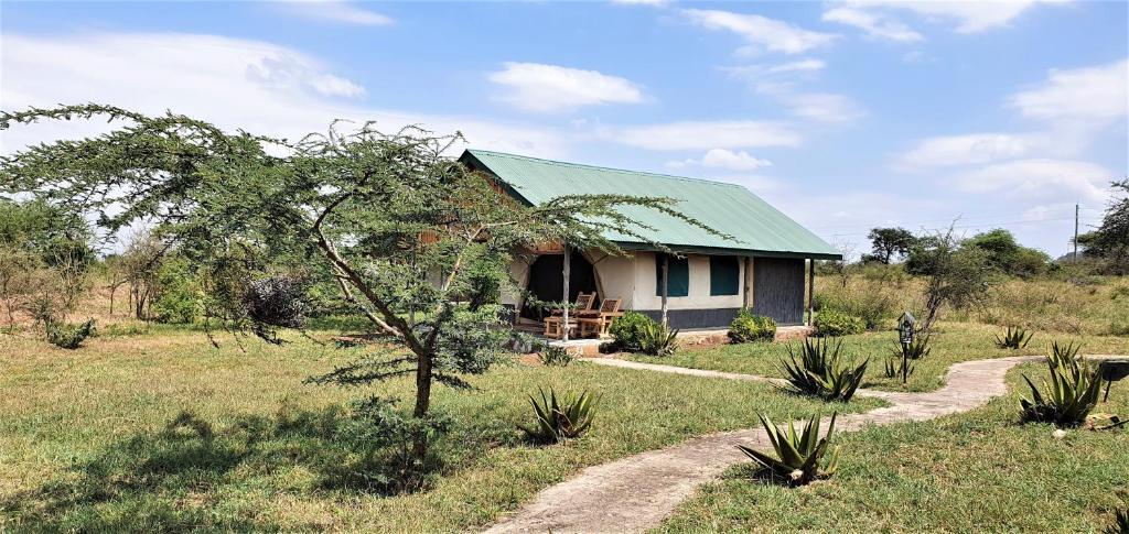 Africa Safari Serengeti Ikoma Ngoại thất bức ảnh