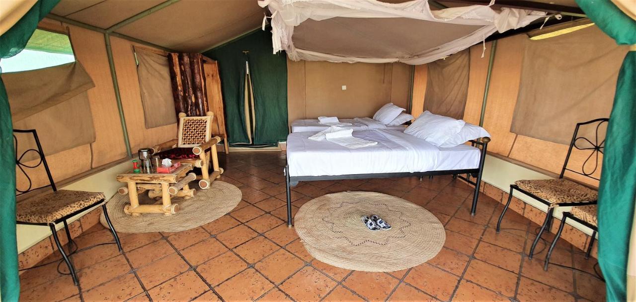 Africa Safari Serengeti Ikoma Ngoại thất bức ảnh