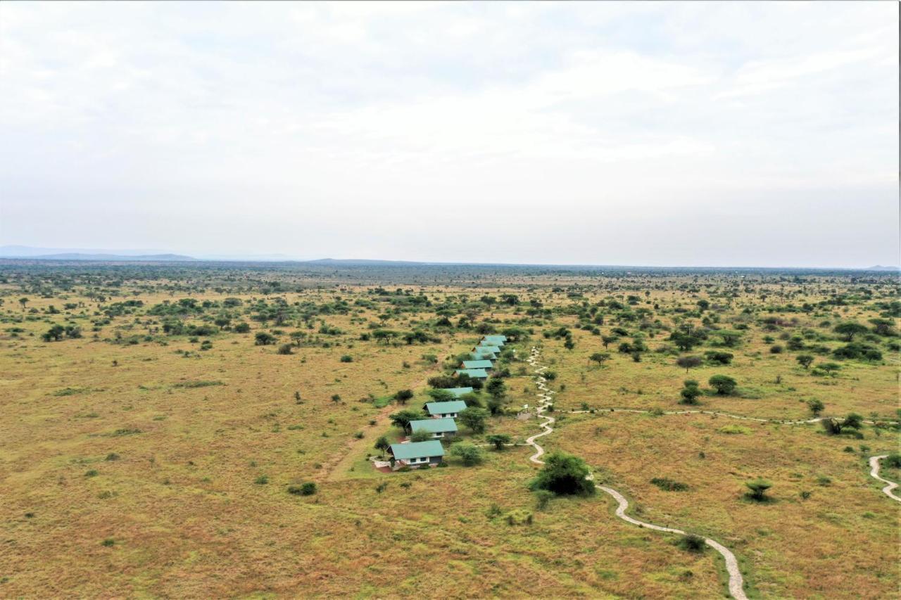 Africa Safari Serengeti Ikoma Ngoại thất bức ảnh