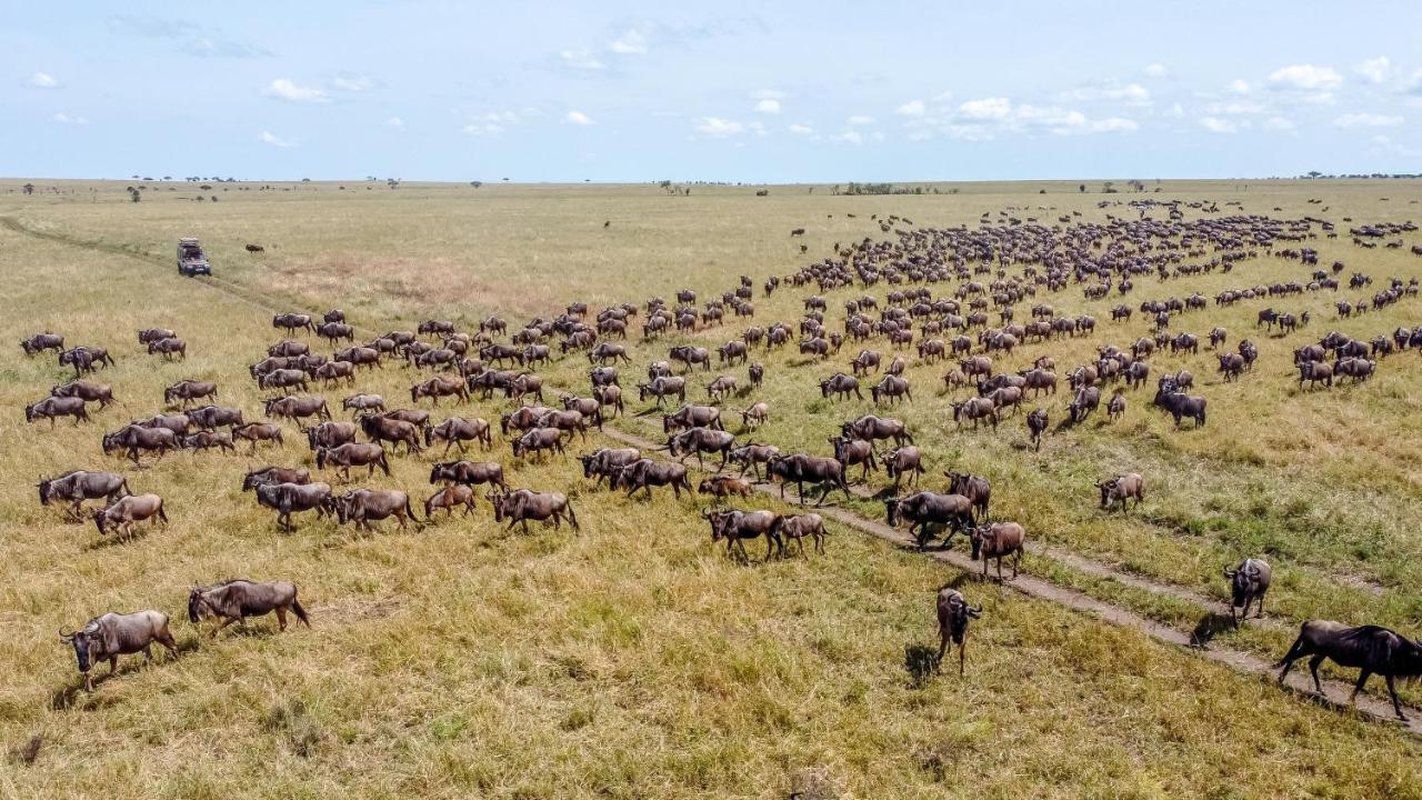 Africa Safari Serengeti Ikoma Ngoại thất bức ảnh