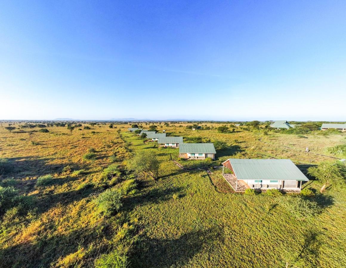 Africa Safari Serengeti Ikoma Ngoại thất bức ảnh
