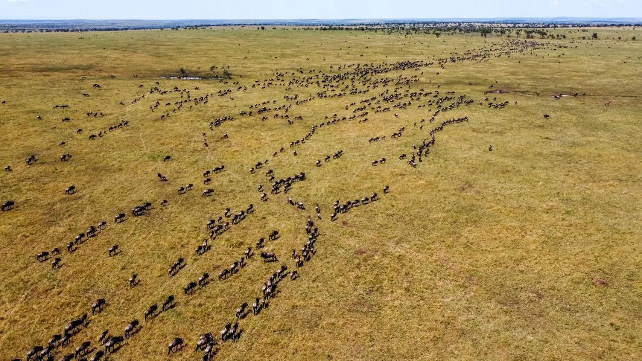 Africa Safari Serengeti Ikoma Ngoại thất bức ảnh