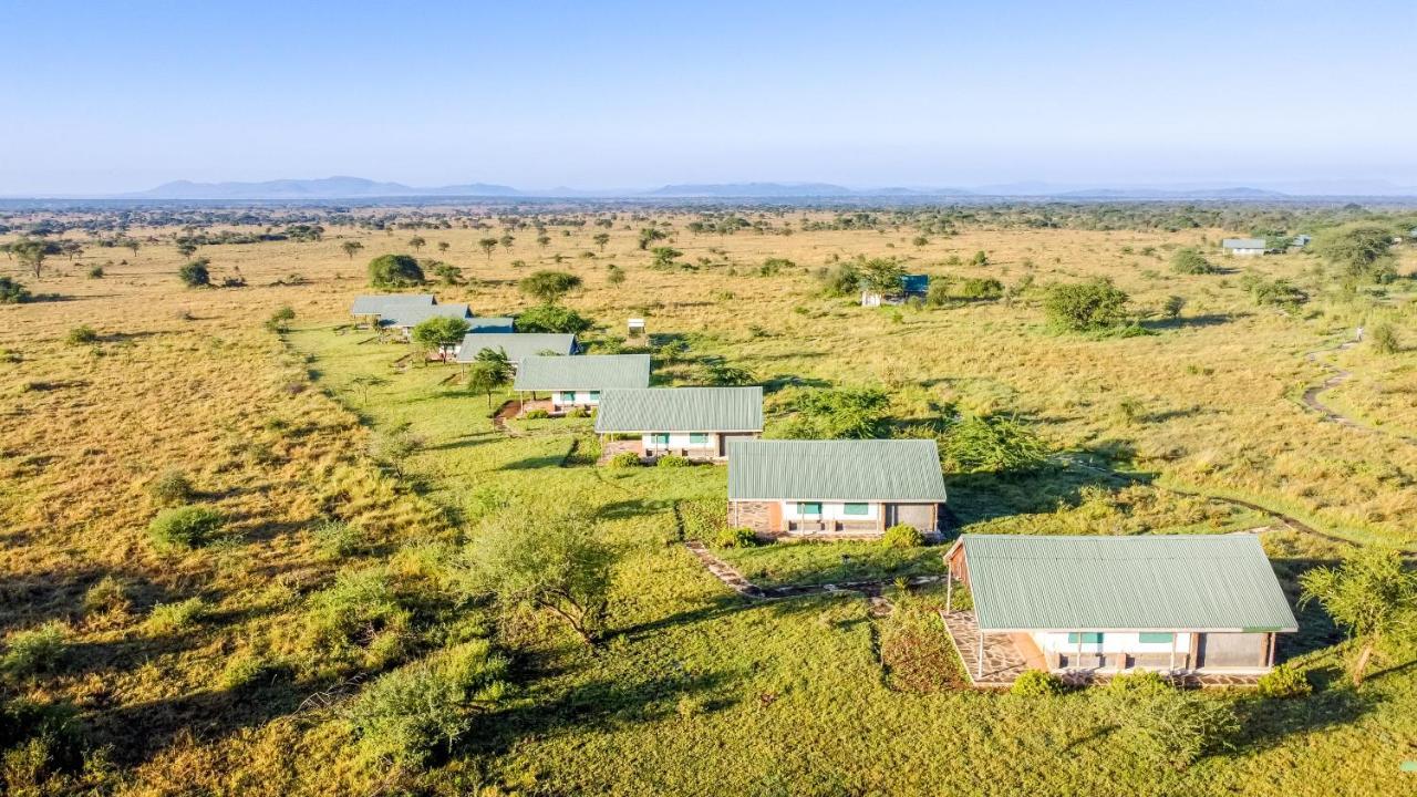 Africa Safari Serengeti Ikoma Ngoại thất bức ảnh