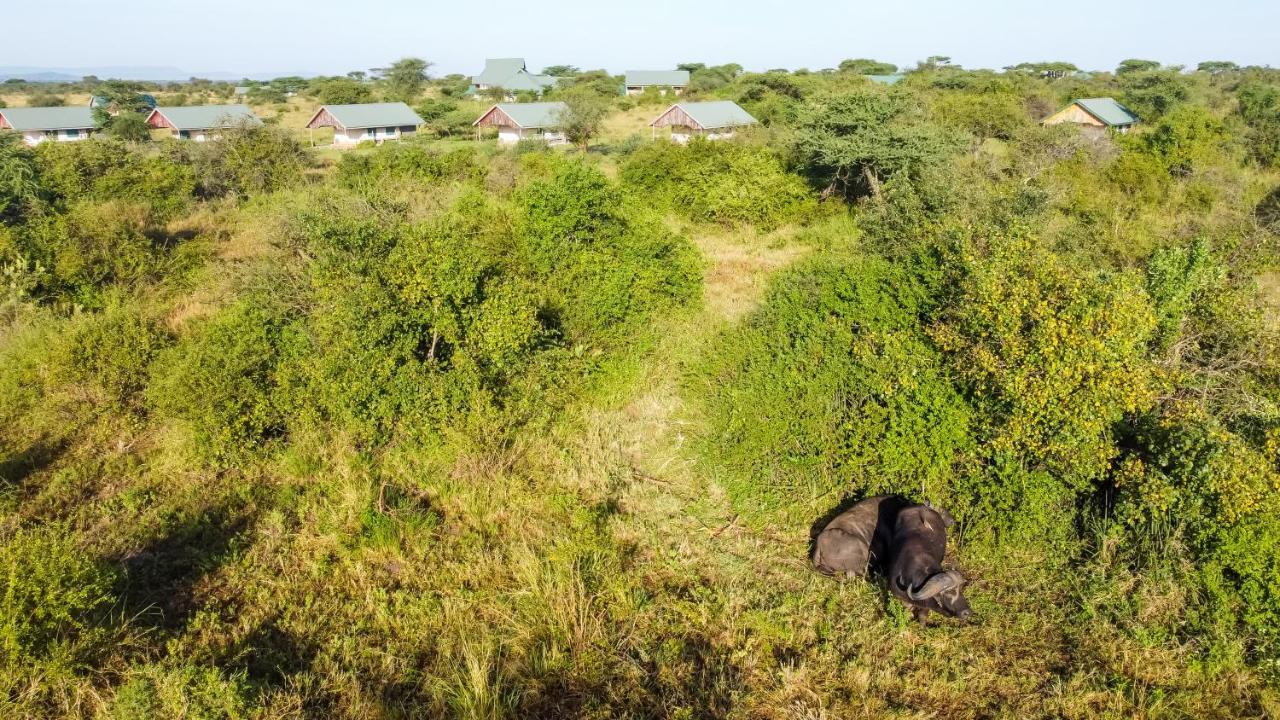 Africa Safari Serengeti Ikoma Ngoại thất bức ảnh