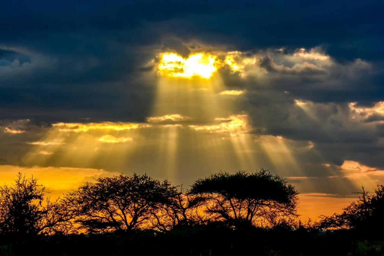 Africa Safari Serengeti Ikoma Ngoại thất bức ảnh