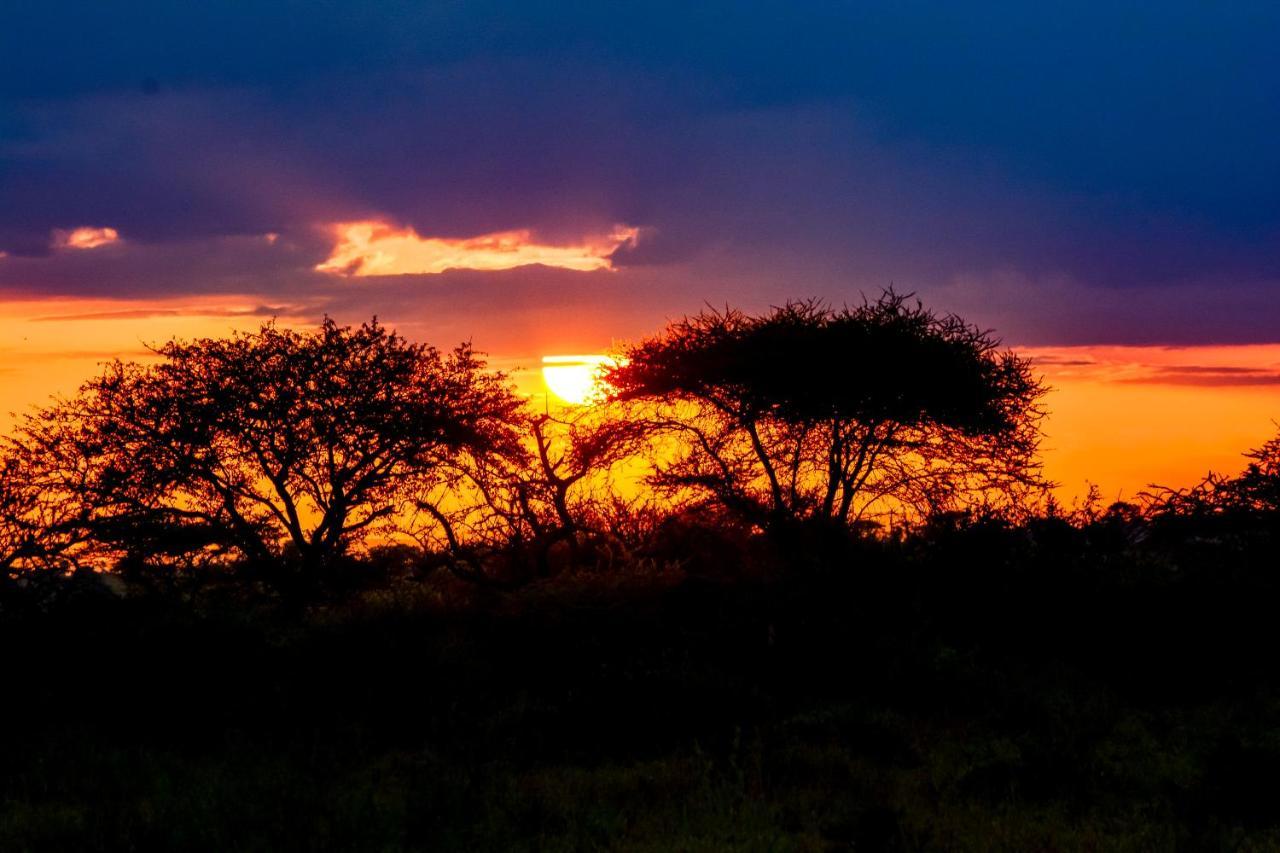 Africa Safari Serengeti Ikoma Ngoại thất bức ảnh