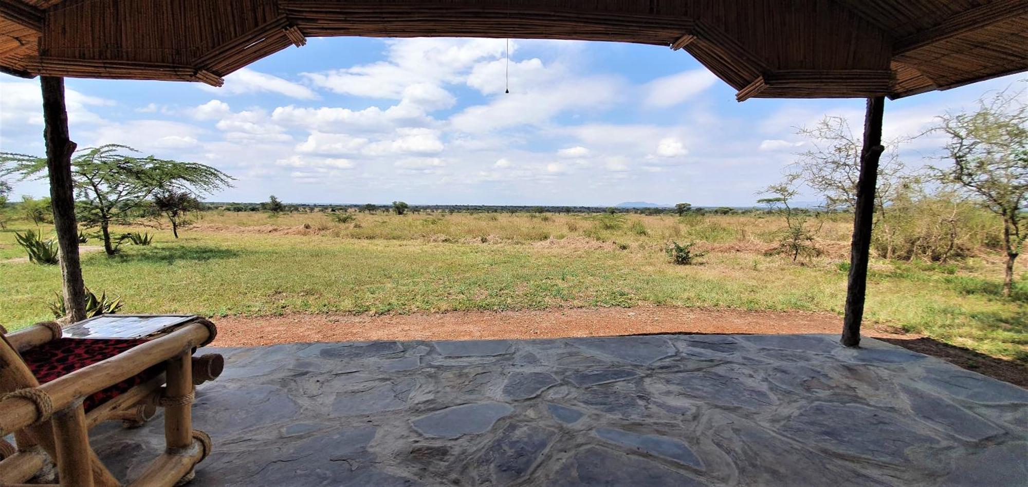 Africa Safari Serengeti Ikoma Ngoại thất bức ảnh