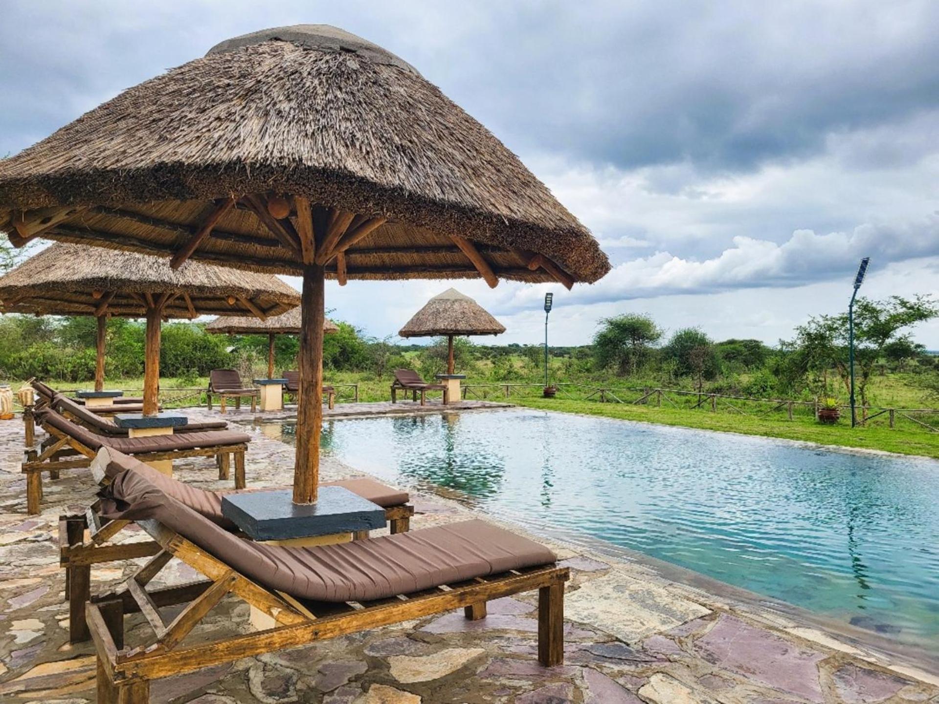 Africa Safari Serengeti Ikoma Ngoại thất bức ảnh
